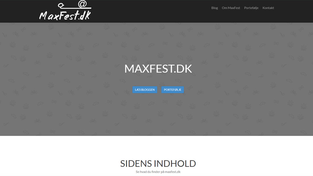 Screenshot af bloggen maxfest.dk/blog.